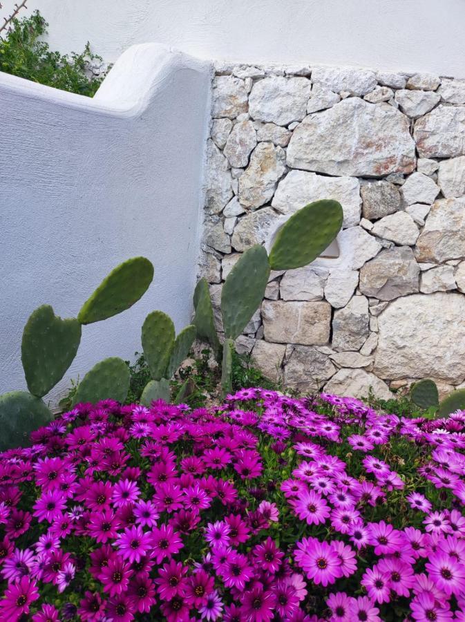 Dimora Mediterranea Маттината Экстерьер фото
