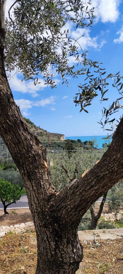 Dimora Mediterranea Маттината Экстерьер фото