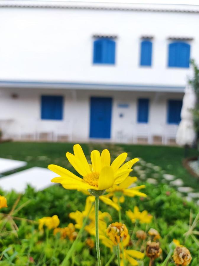 Dimora Mediterranea Маттината Экстерьер фото