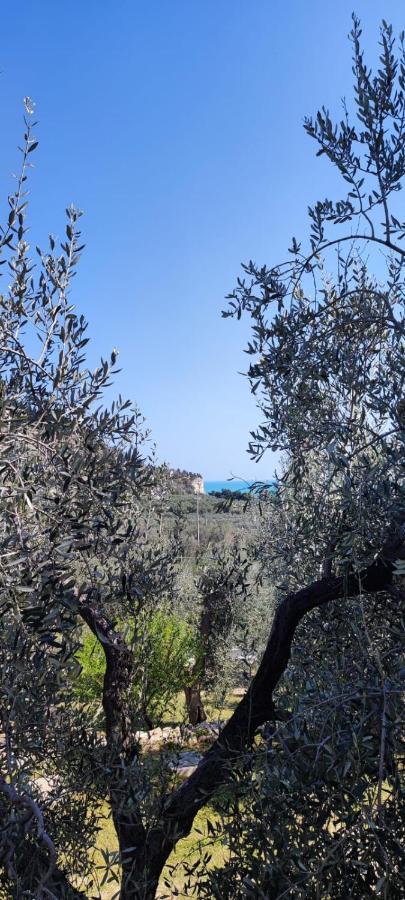 Dimora Mediterranea Маттината Экстерьер фото